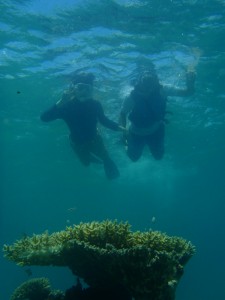 P6220070