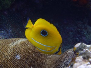 P5300332