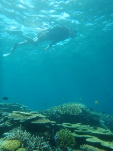 P8121463