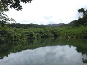 IMG_6076