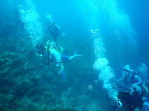 DSCN1679